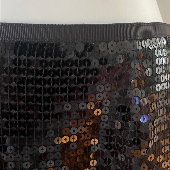 Ann Taylor Elegant Black Sequence Skirt - Picture 2 of 7